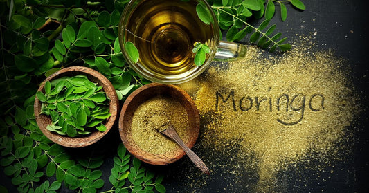 Illustration of the benefits of Moringa: leaves, powder, and oil