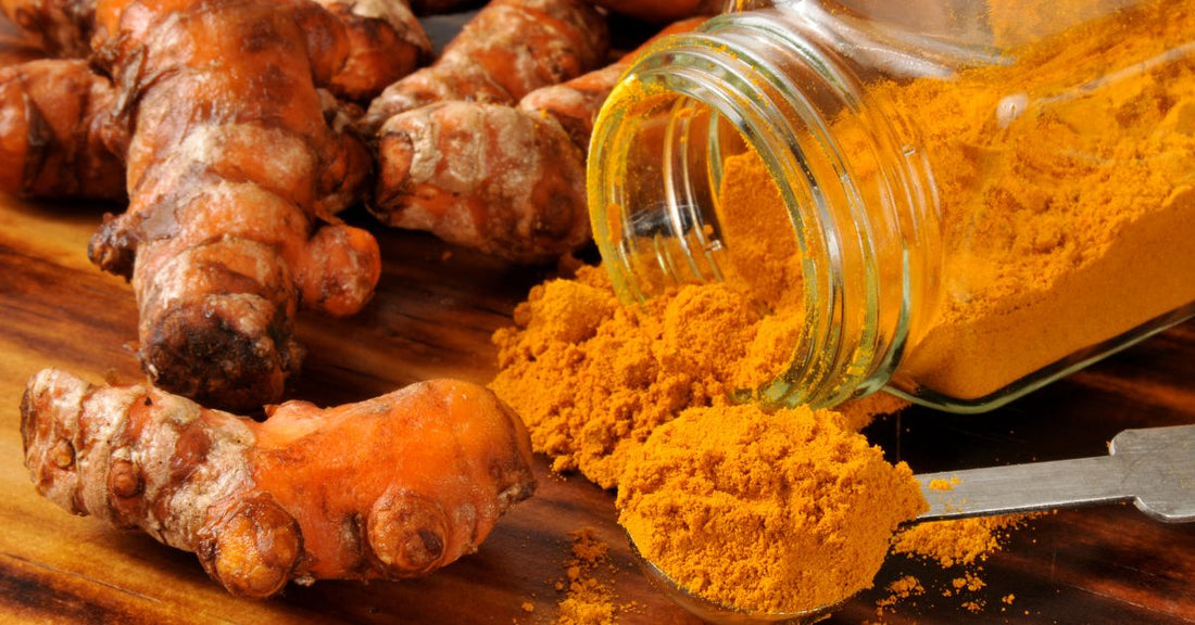 urmeric powder and raw turmeric root, showcasing the vibrant yellow color and natural form of the spice.