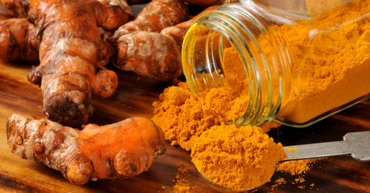 urmeric powder and raw turmeric root, showcasing the vibrant yellow color and natural form of the spice.